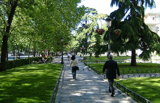 The tree-lined walk and formal planting of the Paseo del Prado