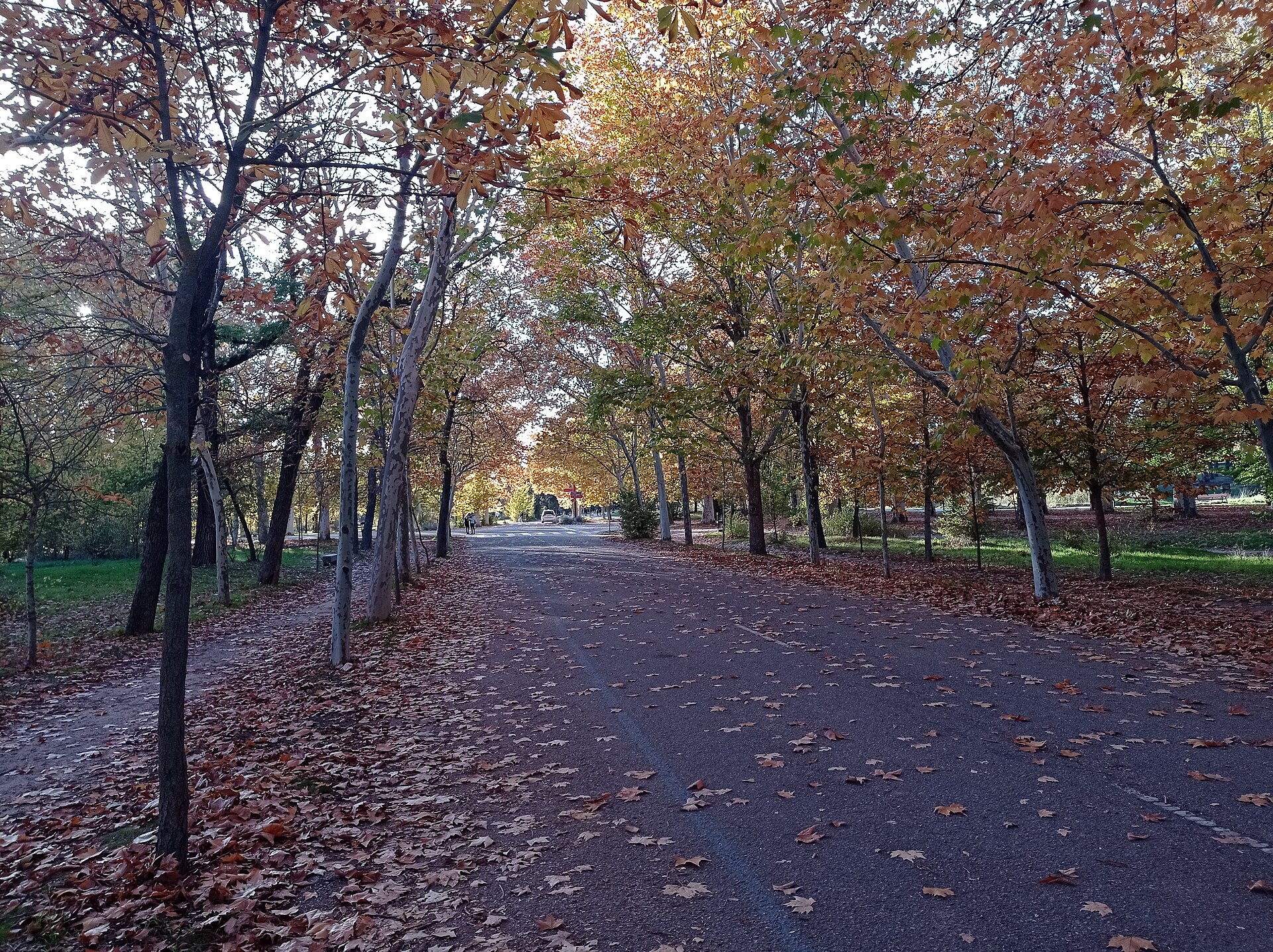 Casa de Campo in Madrid at sunset in November 2022