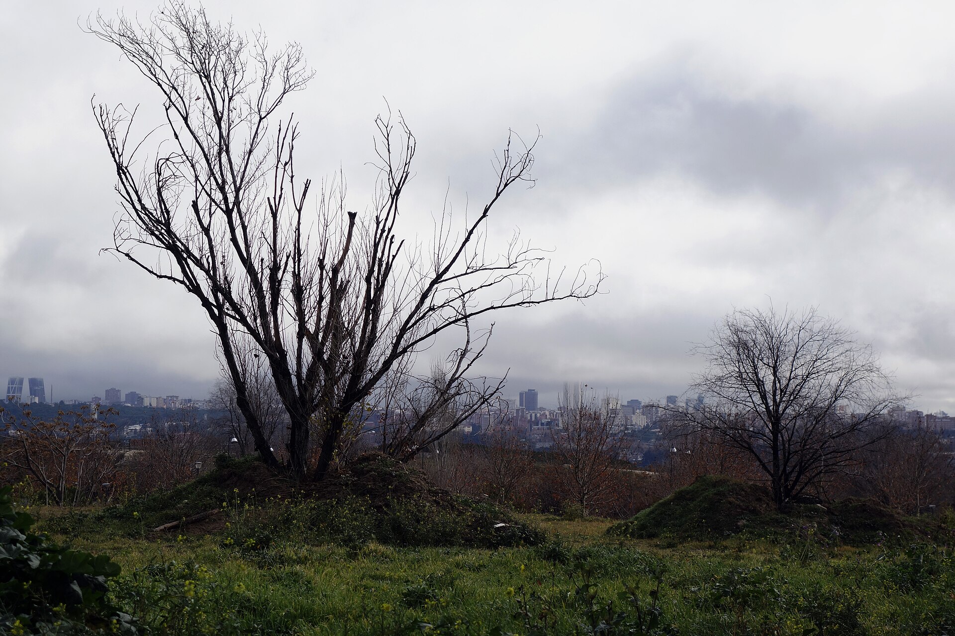 Madrid seen from the northwest, from Pozuelo de Alarcón